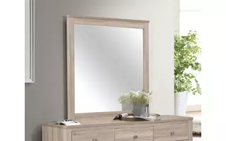 MIRROR 205464 205464 COASTER