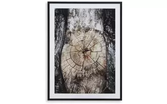 wall art freyburn brown/black/white