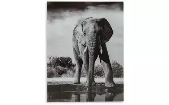 wall art glinyard black/white