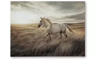 Ashley errolville wall art in multi