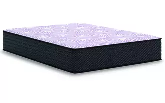 Ashley bl plush 12 inch queen mattress in purple/gray