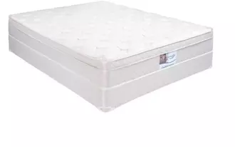 twin mattress bristol nf fpt  