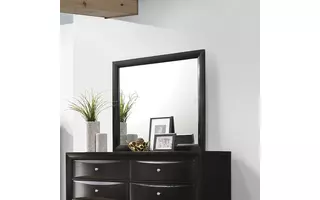 MIRROR 200704 200704 COASTER