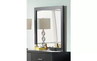 MIRROR 201654 201654 COASTER