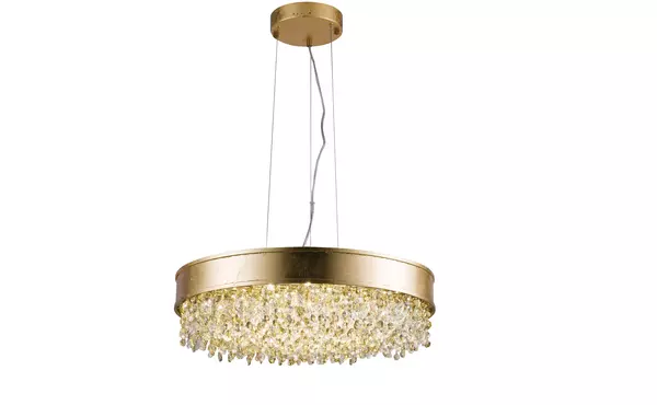 zl13gd by bethel international