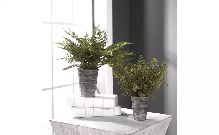 60147  QUIMBY POTTED FERNS S 2