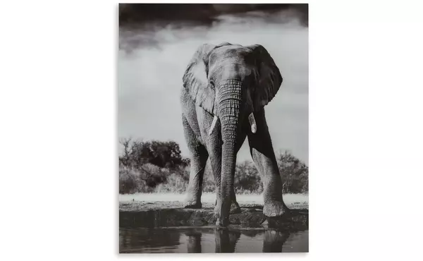 glinyard black/white wall art by ashley