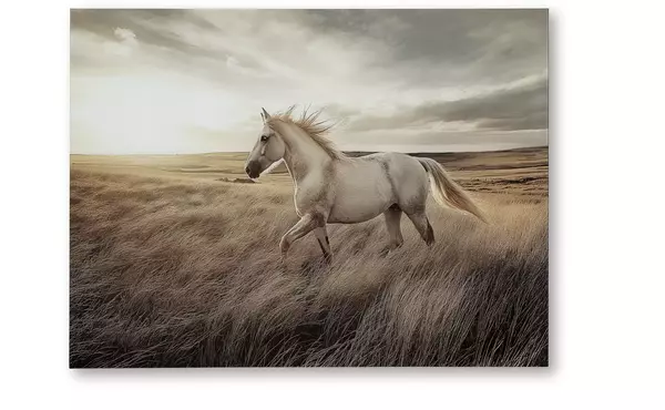 errolville multi wall art by ashley