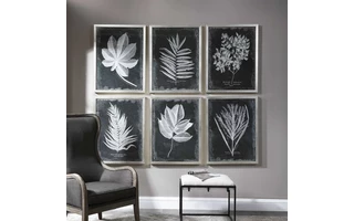 33671  FOLIAGE FRAMED PRINTS, S/6