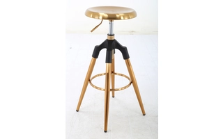 ADJUSTABLE HEIGHT STAINLESS STEEL CHAIR,1PCS CTN GOLD CH-181120-G CH-181120-G EXACT