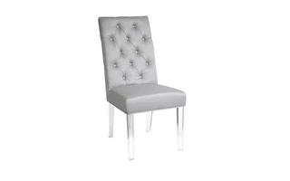 LESLIE ACRYLIC DINING CHAIR GY-282ACR SATIN 101476 101476 XCELLA