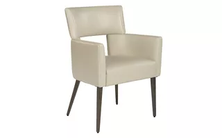 AMERIE DINING ARMCHAIR - CASTILLO CREAM 105274 105274 SUNPAN