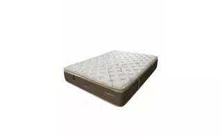 QUEEN  LUMORAQ RESTONIT