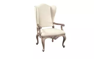 DANAE ARM CHAIR (1 PER CTN) ACCENTRICS HOME 205023 205023 PULASKI