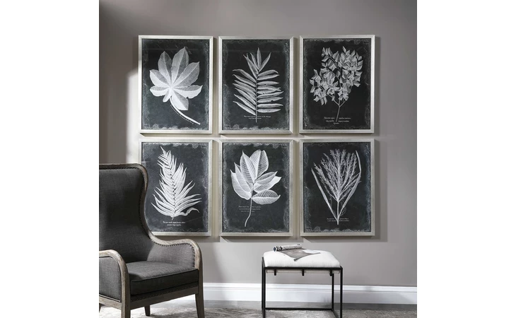 33671  FOLIAGE FRAMED PRINTS, S/6