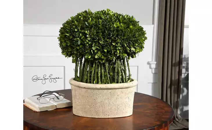 60108  PRESERVED BOXWOOD WILLOW TOPIARY