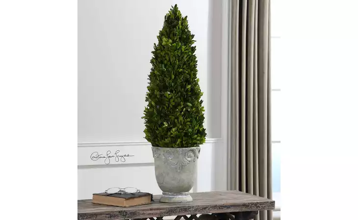 60111  PRESERVED BOXWOOD CONE TOPIARY