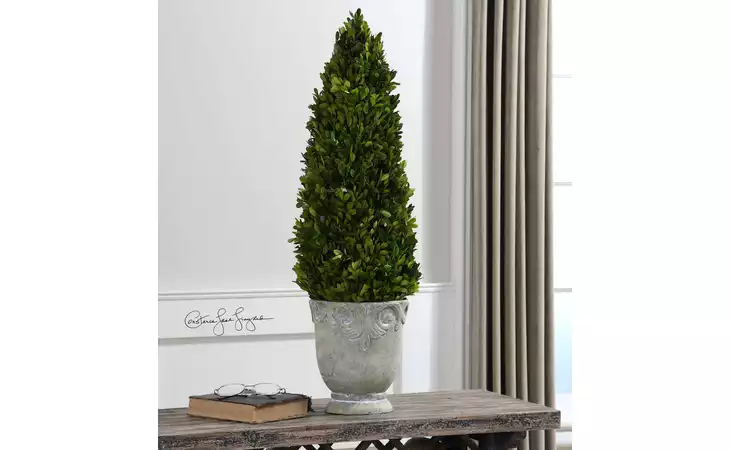 60111 PRESERVED BOXWOOD CONE TOPIARY UTTERMOST  60111