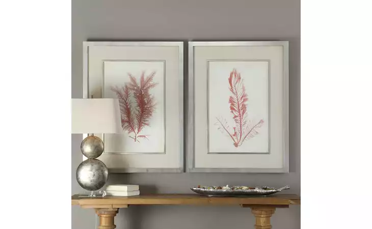 41578  CORAL SEA FEATHERS FRAMED P