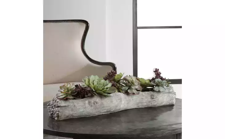 60174 CHARITA SUCCULENTS UTTERMOST  60174