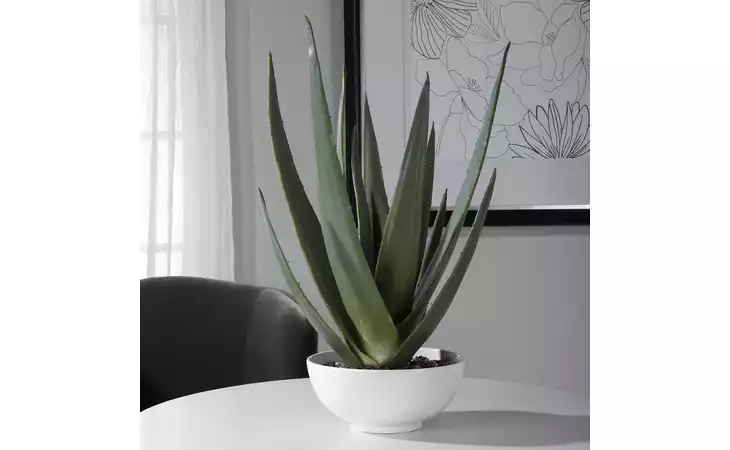 60177  EVARADO ALOE PLANTER