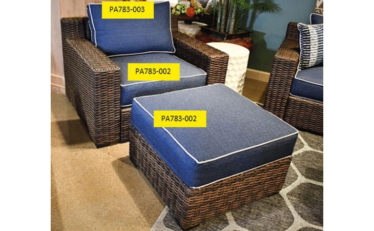 Grasson Lane BACK CUSHION ASHLEY Brown/Blue PA783-003