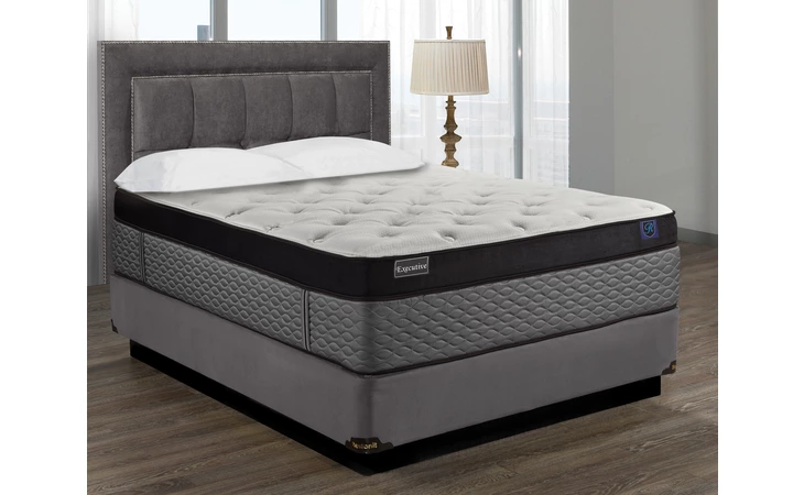 EXECUTIVE-D EXECUTIVE-D RESTONIT  EXECUTIVE-D
