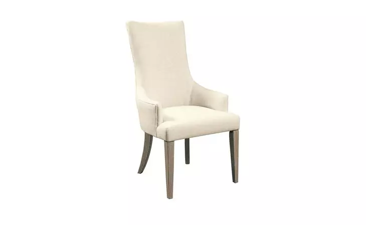 205017 ZONA ARM CHAIR (2 PER CTN) ACCENTRICS HOME PULASKI  205017
