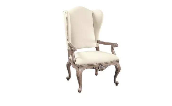 205023 danae arm chair (1 per ctn) accentrics home pulaski  205023