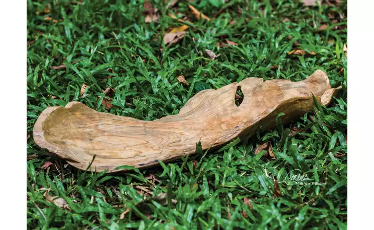 17085 TEAK LEAF BOWL UTTERMOST  17085