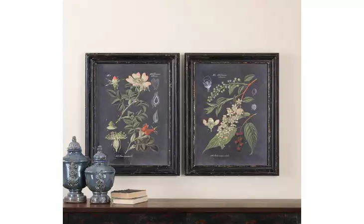 56053  MIDNIGHT BOTANICALS FRAMED PRINTS, S/2